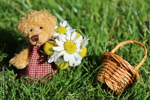 Teddy bear with cup and camile flower.  photo
