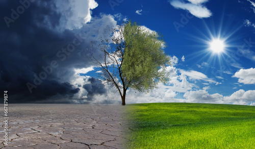 Landscape of meadow field with the changing environment concept of climate change. Climate change heat dryness withered earth.