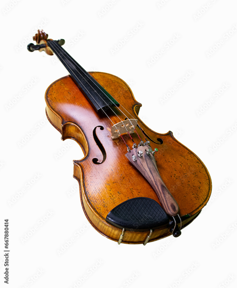 Fototapeta premium violin