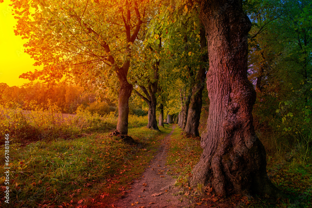 autumnal landscape in bright colors
