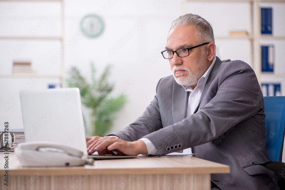 Old male employee working in the office Old male employee working in the office