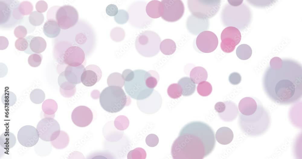 Pink colored circles loop slow motion on white background. Pink colored circles loop slow motion on white background.