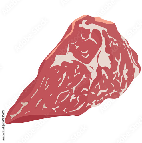 piece of raw beef tenderloin with white veins for cooking steak, vector illustration
