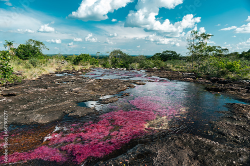 Landscape of the Caño Cristales river in the La Macarena national park. Colombia.  photo