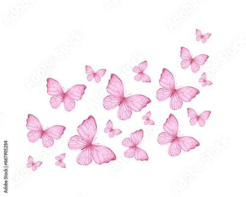 set of butterflies blue butterflyicon photo