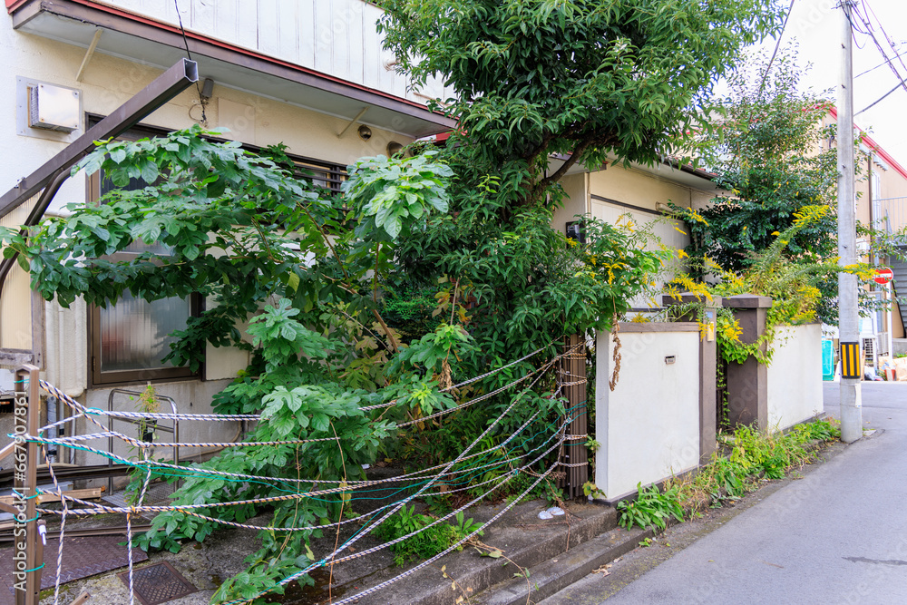 Obraz premium 人、住まない、扉、壊れ、木、生い茂る、家、住まなくなる、空家、空家問題、社会問題、日本、町並み、住宅、街並み、住居、人口減少、相続問題、子、子孫、建物、玄関、風化