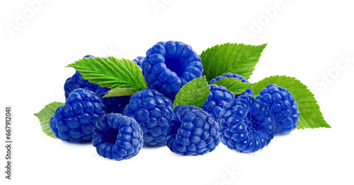 Many fresh blue raspberries and green leaves isolated on white