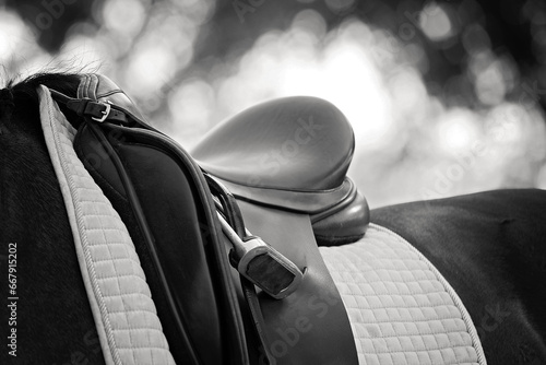 black and white image of English saddle photo