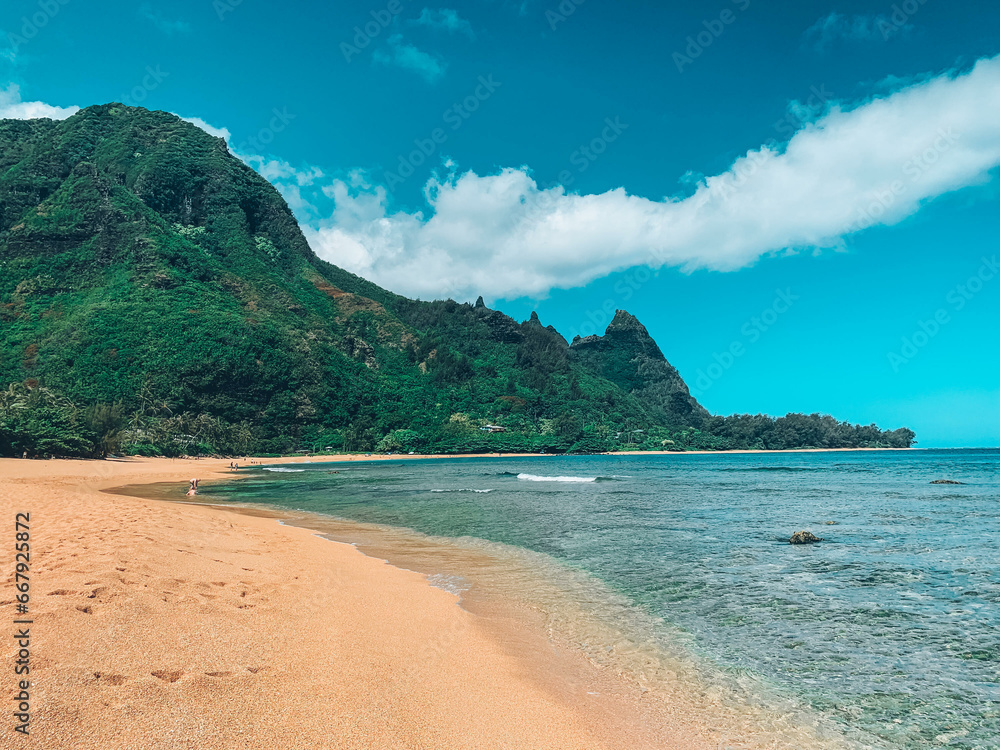 Obraz premium beach - hawaii