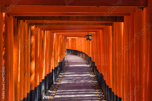 Torii path with a hanging lantern at Fushimi Inari-Taisha Shrine, Kyoto district, Japan photo