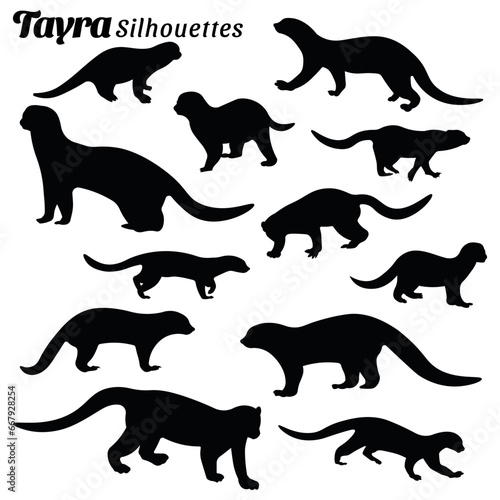 Vector illustration of silhouettes of tayra animal set photo