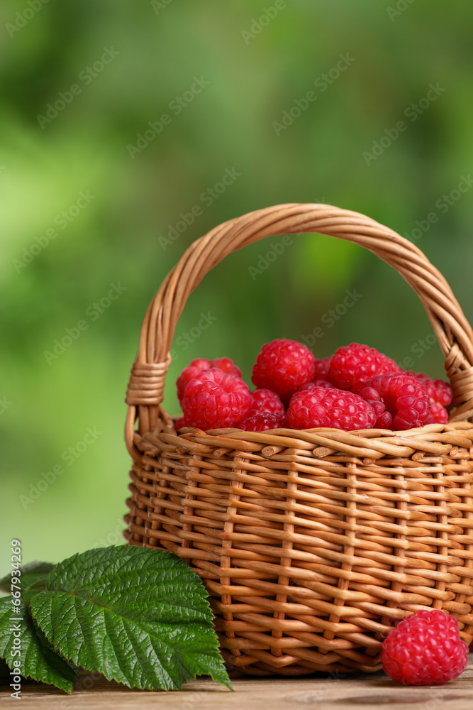Wicker basket with tasty ripe raspberries and green leaves on table against blurred background, closeup Wicker basket with tasty ripe raspberries and green leaves on table against blurred background, closeup