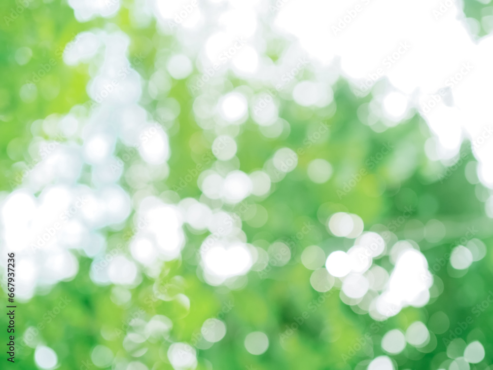 Obraz premium Abstract green color with shiny light for natural background