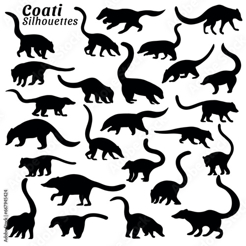Foto Vector illustration of silhouettes of coati animal big set