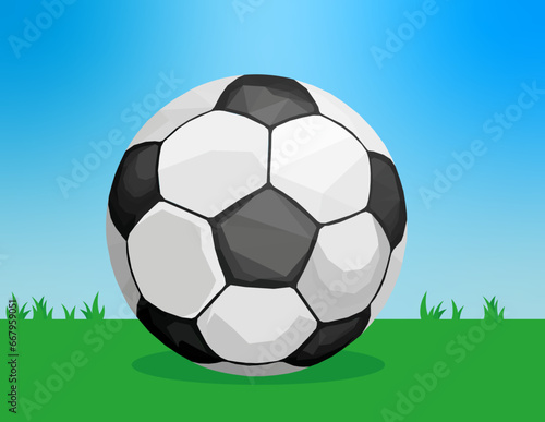 soccer ball on grass © heverth