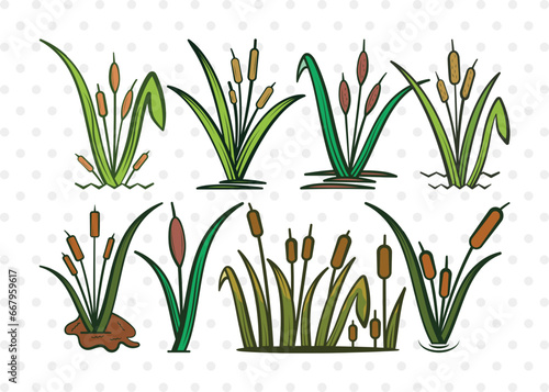 Cattail Clipart SVG Cut File | Bulrush Plant Svg | Cattail Flower Svg | Grass Svg | Cattail Plant Svg | Cattail Bundle photo