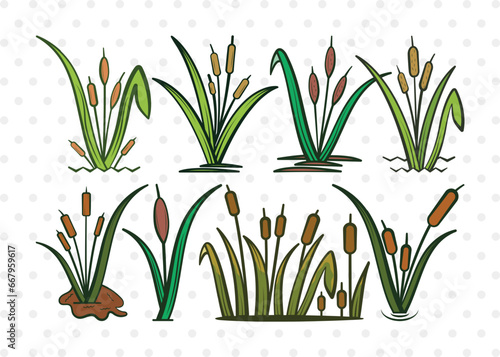 Cattail Clipart SVG Cut File | Bulrush Plant Svg | Cattail Flower Svg | Grass Svg | Cattail Plant Svg | Cattail Bundle