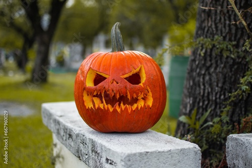 halloween pumpkin on a graveyard