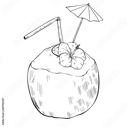 coconut summer vacation handdrawn 
