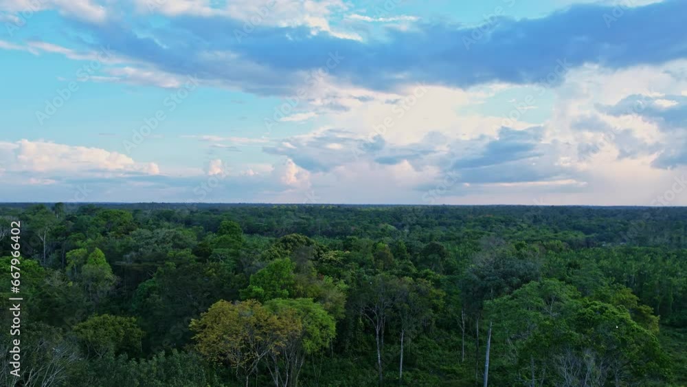 Amazon rainforest is a vast natural resource - aerial flyover Amazon rainforest is a vast natural resource - aerial flyover