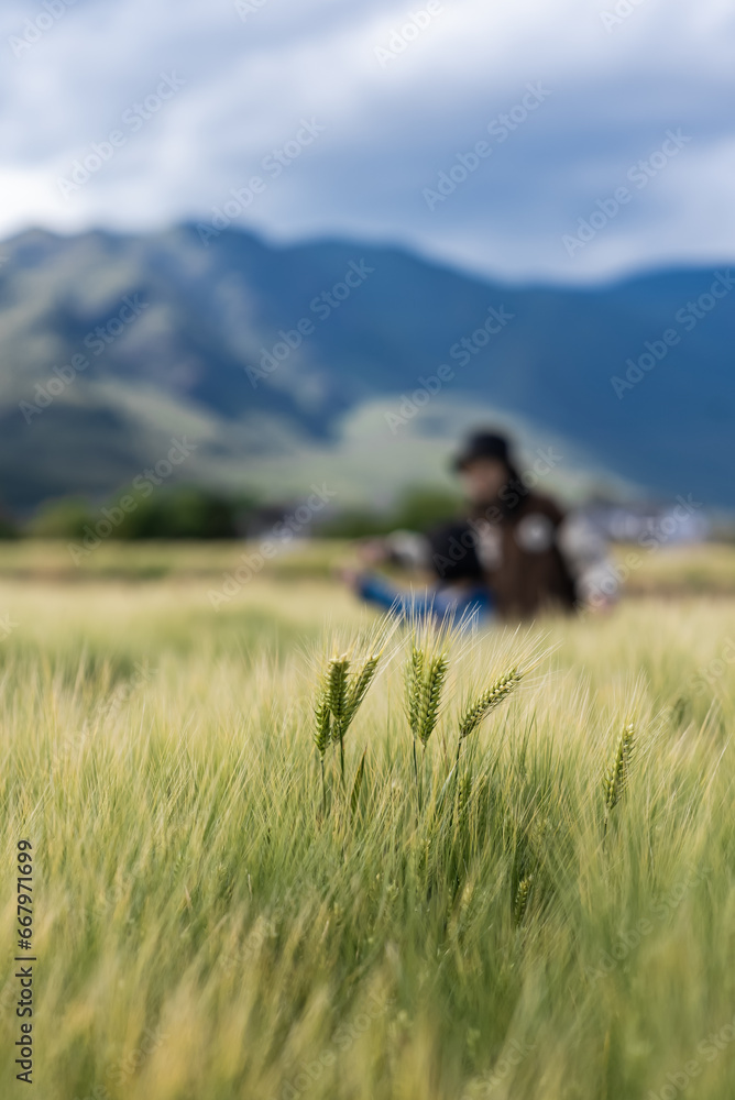 Mother and daughter playing in the wheat waves Mother and daughter playing in the wheat waves