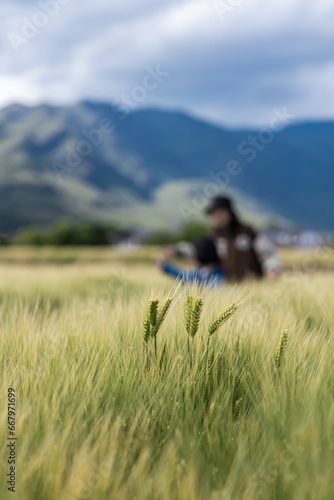 Mother and daughter playing in the wheat waves © Yuan Chen