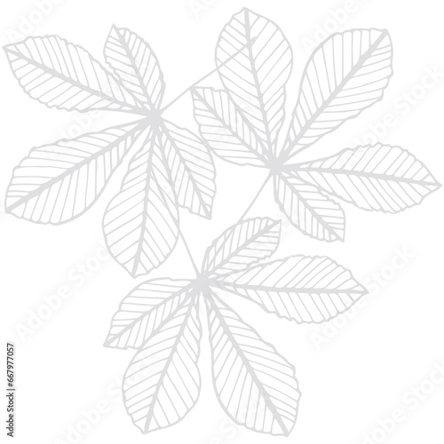 Digital png illustration of white leaves on transparent background © vectorfusionart