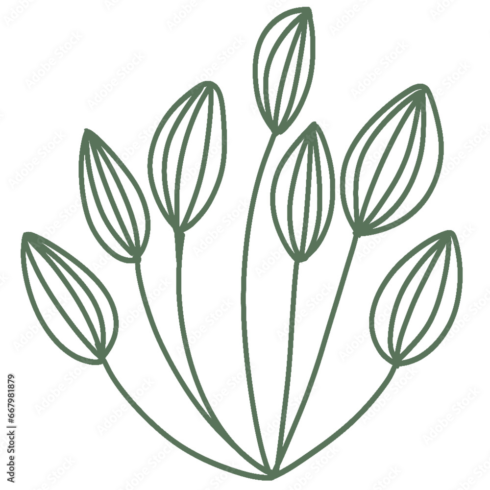 Botanical planlt Botanical planlt