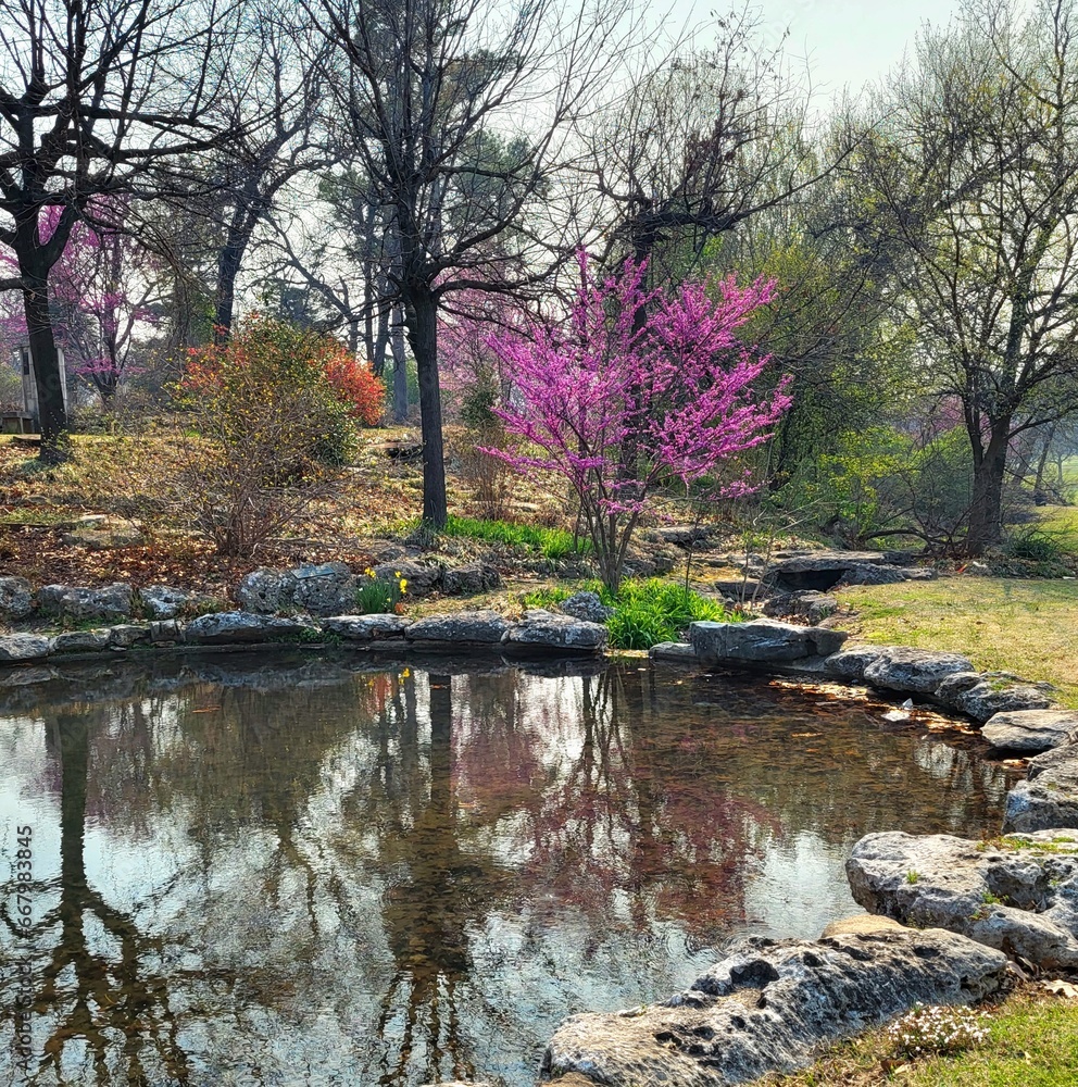 spring reflection in the park