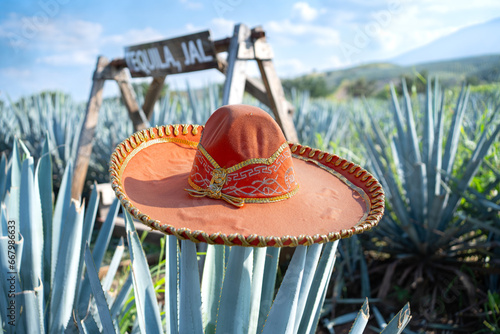 El sombrero de Charro mexicano está en la penca del campo de agaves en el Pueblo de Tequila Jalisco.

