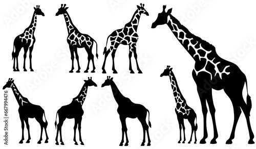 Set of vector giraffes silhouettes