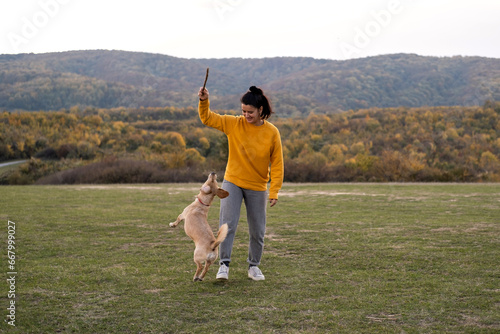 Young woman and happy small yellow dog playing with a stick in the autumn field during sunny warm day with rural countryside view