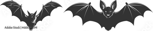 Set of bats, Night bats