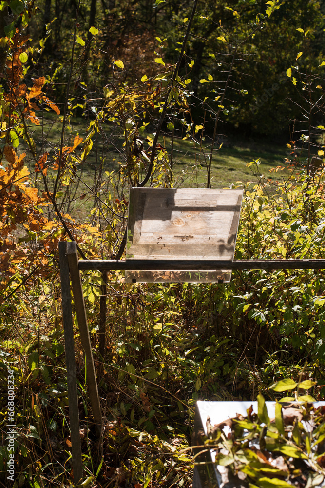 mirror at a beehive for watching the entry hole