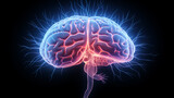 human brain showing neurons firing and neural extensions
