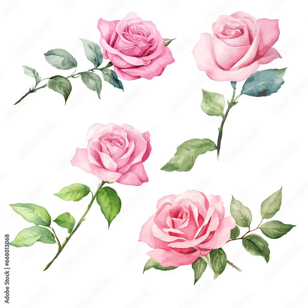 pink rose flowers with leaves watercolor paint set pink rose flowers with leaves watercolor paint set