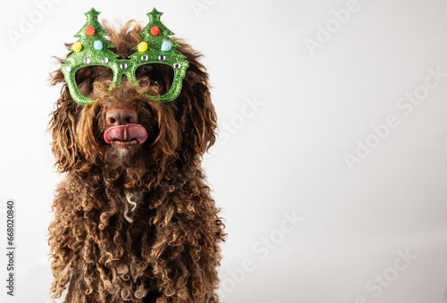 Portrait of a cute dog with Christmas tree glasses and tongue out. Postcard with a pet.