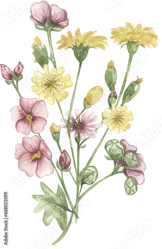 Watercolor wildflowers bouquet illustration, hand drawn meadow flowers clipart, botanical herbs clip art. Field florals print