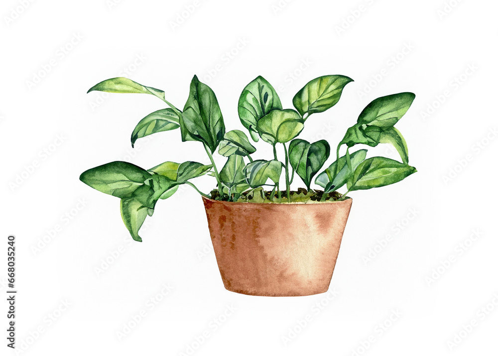 abstract illustration of green plant isolated over white background abstract illustration of green plant isolated over white background