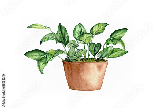 abstract illustration of green plant isolated over white background