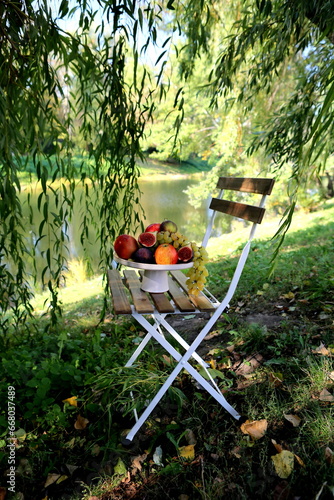 relaxing picnic in the garden - summer time 