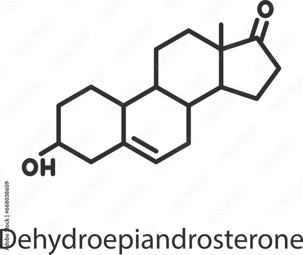 Dehydroepiandrosterone hormone. Line with editable stroke Dehydroepiandrosterone hormone. Line with editable stroke