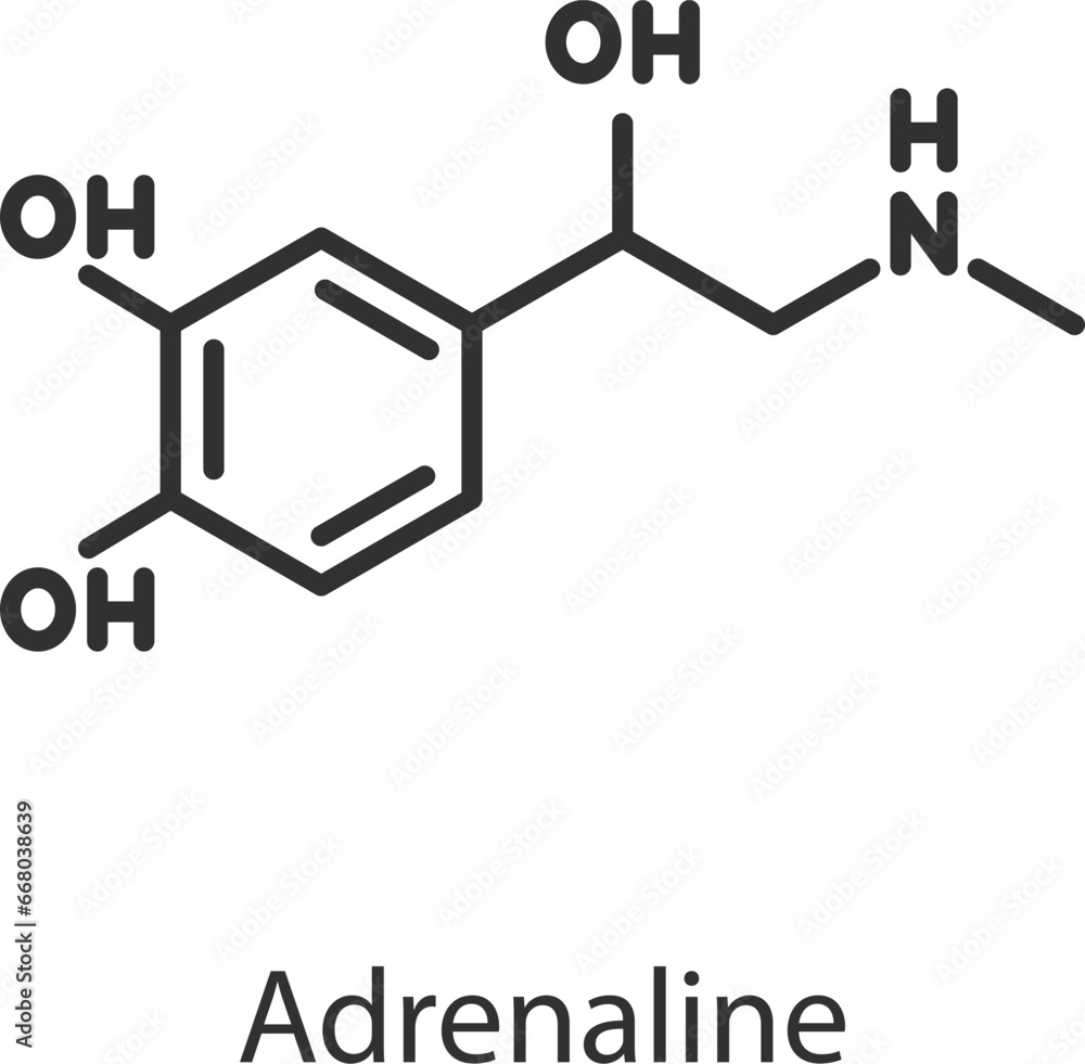 Adrenaline hormone. Line with editable stroke Adrenaline hormone. Line with editable stroke