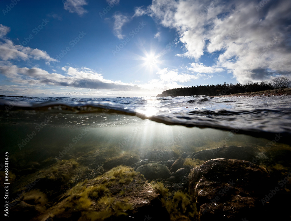 Underwater view of the Baltic Sea Underwater view of the Baltic Sea
