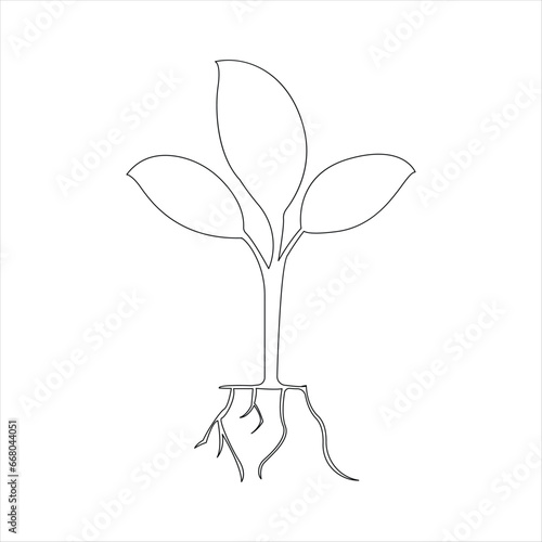 Continuous tree plant growing and seed maturation single line art vector outline illustration