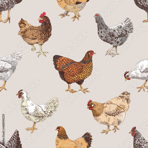 Seamless pattern with hand drawn chickens