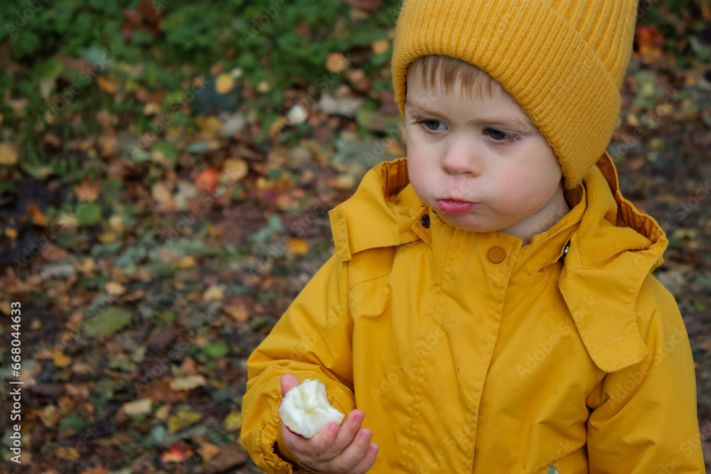 Cute toddler boy eating a ripe wild apple on a farm Cute toddler boy eating a ripe wild apple on a farm