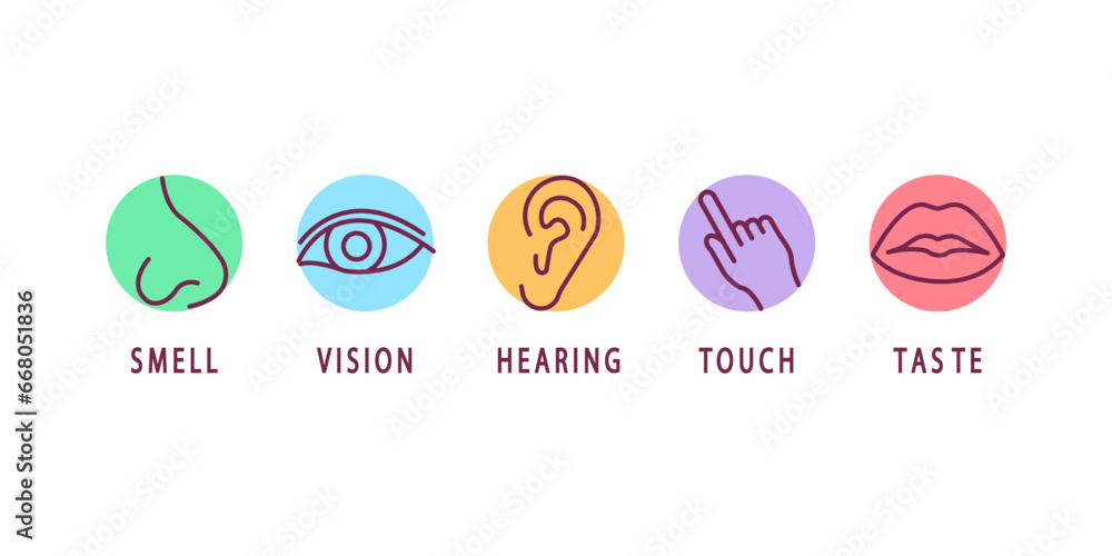 Creative vector illustration line icon set of five human senses. Vision ...