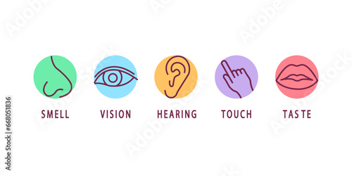 Creative vector illustration line icon set of five human senses. Vision, hearing, smell, touch, taste isolated on transparent background. Art design nose, eye, hand, ear, mouth with tongue element