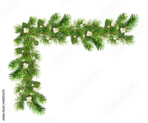 Green Christmas pine twigs and snowberries in a festive corner arrangement isolated on white or transparent background